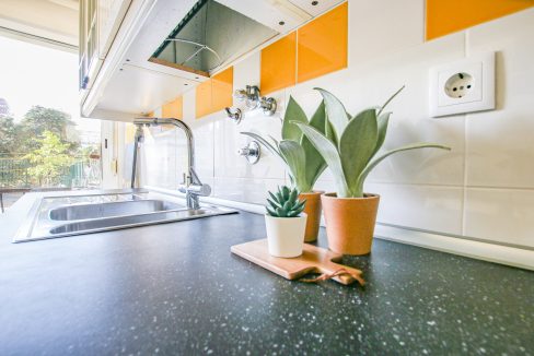 WEBSITE_OEIRAS_Rua da Quinta das Palmeiras63-10-min